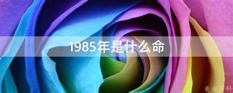 1985年是什么年|1985年